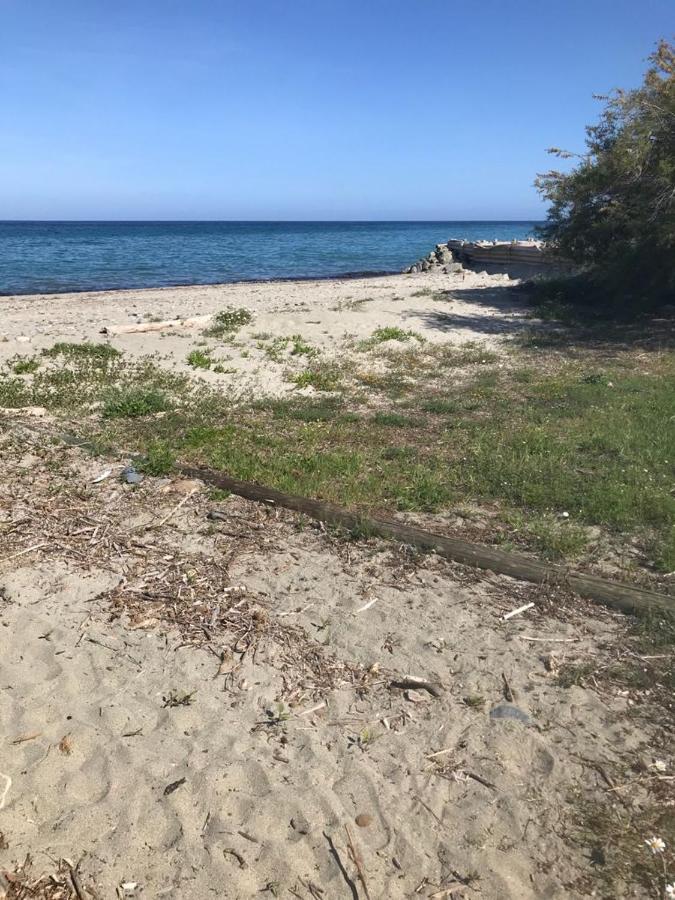 圣尼科劳Corsica Studio Face A La Mer Moriani Plage公寓 外观 照片